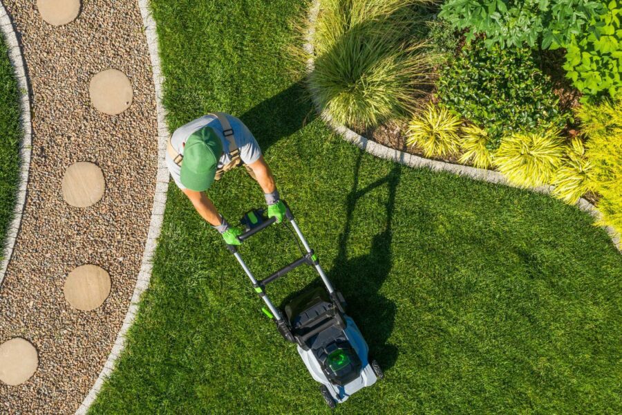 Les étapes essentielles pour la création de jardins à Capbreton : de l’idée à la réalisation