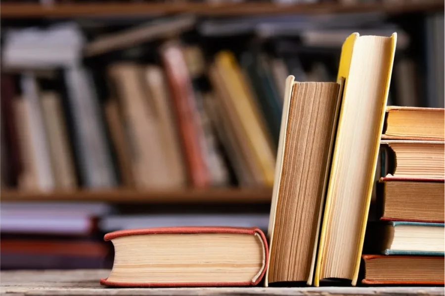 Librairie : pourquoi les librairies indépendantes résistent face à Amazon